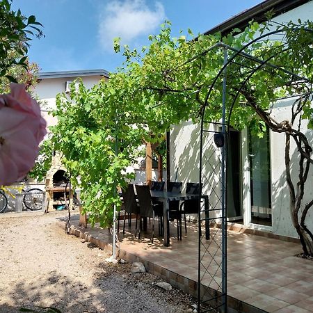 Apartments Filip & Nina Vir Exterior photo