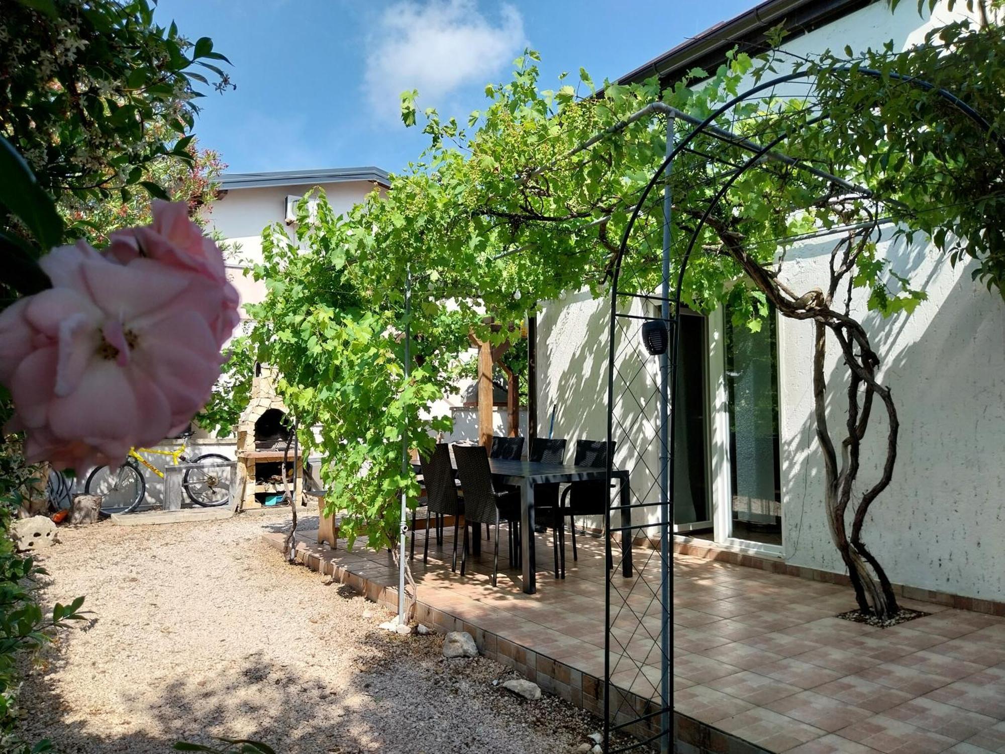 Apartments Filip & Nina Vir Exterior photo